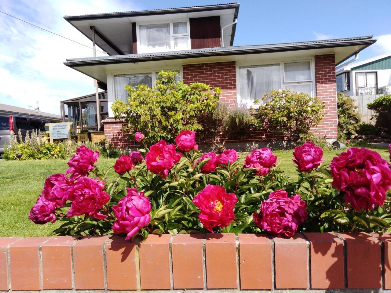 Airport Silver Fern Accommodation Christchurch Buitenkant foto